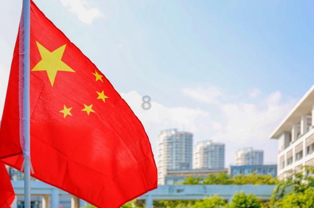 狐狸的旅程